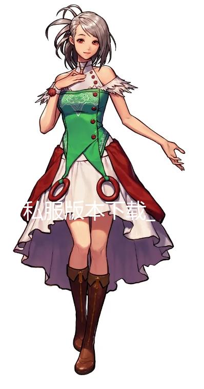 dnf私服版本下载_《上古卷轴5》周年纪念版登陆Epic 售价206元支持中文 周年支持中文支持中文